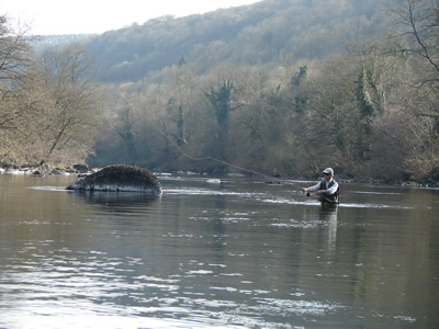 River Wye Grannom 